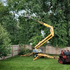 Reliable Saukville, WI  Tree Services Solutions